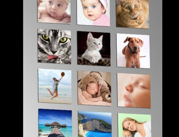 Calamite Foto - immagine 2